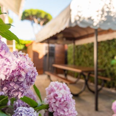 Apartment Holiday Versilia Camaiore Dış mekan fotoğraf