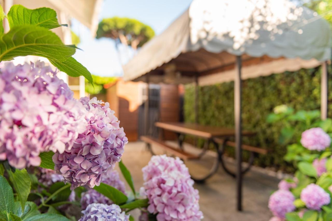 Apartment Holiday Versilia Camaiore Dış mekan fotoğraf